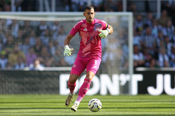 為他們賽季 為他們賽季